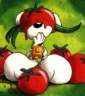 di-tomate.jpg