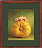 GPRIV_COUNTRYPUMPKIN.jpg