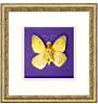 GPRIV_FIONABUTTERFLY.jpg